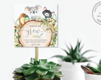 EDITABLE TEMPLATE Australian Animals Watch Me Grow Square Tag, Koala Succulent Thank You Favors Gift Printable Boy Girl Baby Shower Pdf, AU1