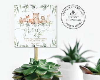 EDITABLE TEMPLATE Woodland Animals Watch Me Grow Square Tags, Greenery Succulent Thank You Favors Gift Printable Neutral Baby Shower, WG12