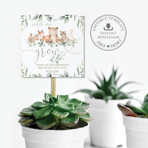 EDITIERBARE VORLAGE Waldtiere beobachten mich wachsen Quadratische Tags, Grün Sukkulenten Danke Gefälligkeiten Geschenk Druckbare Neutrale Baby Shower, WG12