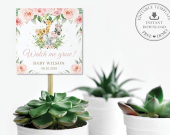 May include: A square sign with the text "Watch me grow!" and the name "Baby Wilson" with a date. The sign features watercolor illustrations of baby animals, including a giraffe, lion, elephant, and monkey, surrounded by pink roses and greenery. The sign is attached to a wooden stick and placed in a succulent plant.