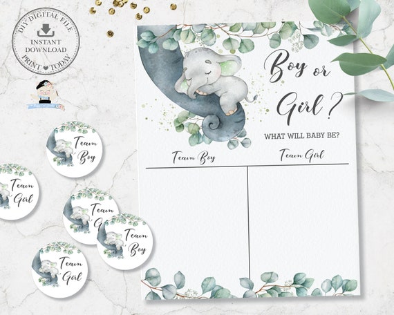 Gender Reveal Prediction Boy Or Girl Voting Game Sign INSTANT DOWNLOAD gender-reveal-prediction-boy-or-girl-voting-game-sign-instant-download