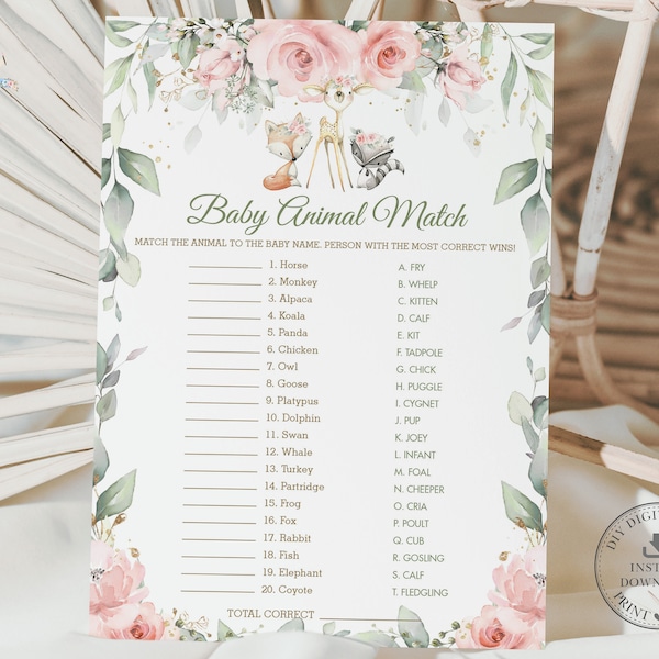 Baby Animal Match Game, INSTANT DOWNLOAD, Blush Floral Woodland Animals Baby Shower Baby Animal Names Quiz Card Activity Diy Printable, WG10