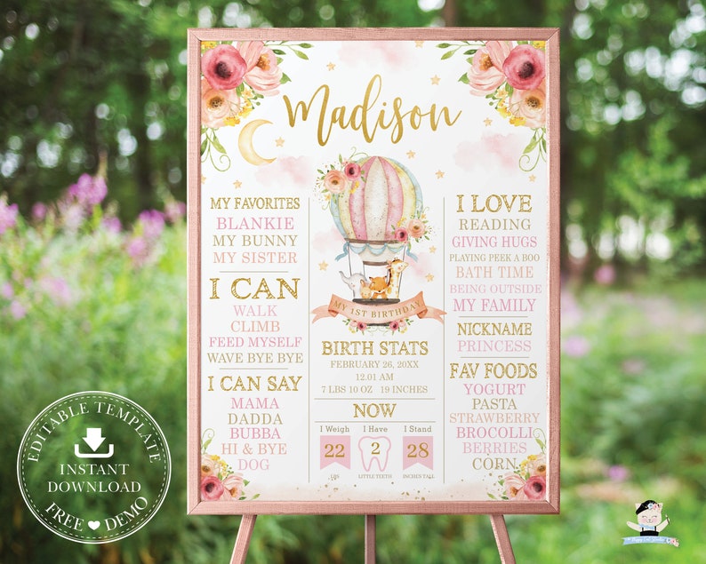 Birth Stats Nursery Decor Printable One Year EDITABLE TEMPLATE INSTANT File HB7 Hot Air Balloon Cute Animals 1st Birthday Milestone Sign