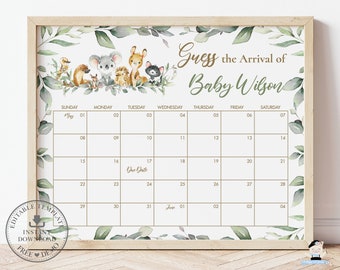 Indovina la data di scadenza del bambino Gioco Calendario stampabile MODELLO MODIFICABILE Animali australiani Verde Doccia Arrivo Segno Compleanno Pronostico AU5