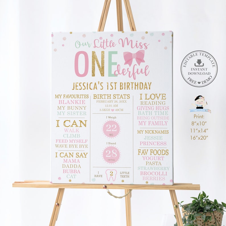 Lilla Fröken ONEderful 1-årsdagsmilstolpeskylt, REDIGERINGSBAR MALL, Rosa rosetter flickas första födelsestatistik affischdekor PDF DIREKT Nedladdning MO2 bild 4