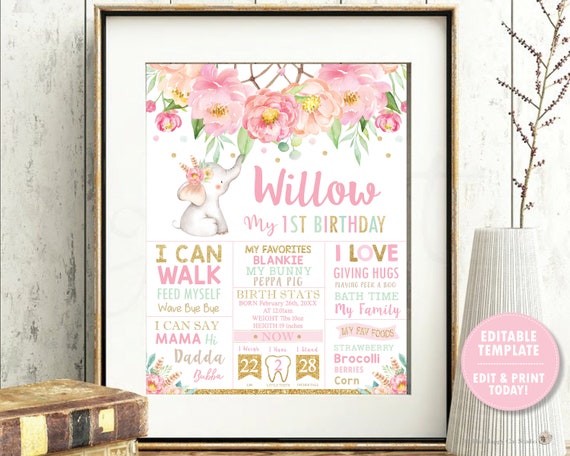 Elephant 1st Birthday Milestone Sign, EDITABLE TEMPLATE, Girl Safari Jungle Animals Birth Stats Decoration Printable, Pink Floral Mint, BF2 Il_570xn