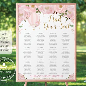 Hete luchtballon roze bloemen zitplaatsen grafiek teken, BEWERKBARE SJABLOON, gouden avontuur baby shower verjaardag afdrukbare Pdf, INSTANT Download, HB2