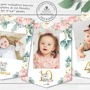 May include: A printable first year milestone banner with floral illustrations and a koala design. The banner includes spaces for 4x6 inch photos and text for each month.