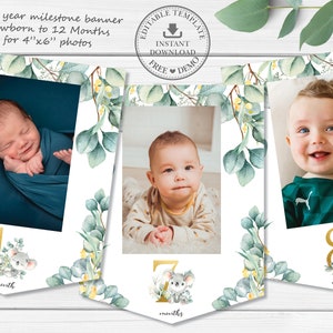 Koala Eucalyptus Greenery 1st Birthday Monthly Milestones Photo Banner EDITABLE TEMPLATE, Boy First Year Picture Garland Decor Printable AU2