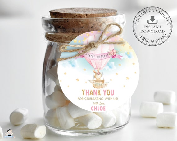 EDITABLE TEMPLATE Bunny Hot Air Balloon 2" Circle Label, Thank You Sticker Tag Favors Printable, Baby Shower Girl, Birthday, Baptism, HB6 Il_570xn