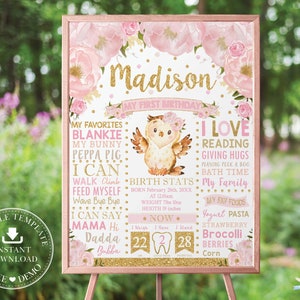 Signo de hito del 1er cumpleaños del búho, PLANTILLA EDITABLE, Búho floral rosa rubor imprimible, decoración de la guardería del cartel de estadísticas de nacimiento, un año, OW1 INSTANTÁNEO