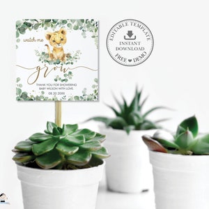 MODÈLE MODIFIABLE Mignon Lion Cub Verdure Regardez-moi grandir Étiquettes carrées imprimables, Plante succulente Merci faveurs Cadeau Garçon Baby Shower Pdf LN3