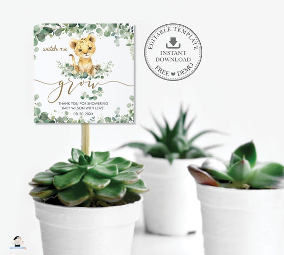 EDITABLE TEMPLATE Cute Lion Cub Greenery Watch Me Grow Square Tags Printable, Plant Succulent Thank You Favors Gift Boy Baby Shower Pdf LN3 Il_570xn