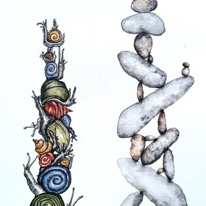 May include: A watercolor illustration featuring two vertical stacks. On the left, a column of colorful snails with blue, green, orange, and red shells. On the right, a balanced tower of smooth, grey, and brown river stones stacked in a vertical formation.