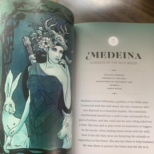 Pode incluir: Ilustra&ccedil;&atilde;o de um livro com Medeina, a Deusa da Floresta Selvagem. A obra de arte retrata uma mulher com um adorno de chifres de veado, segurando um arco e flechas, com um coelho branco e um lobo. O texto diz "MEDEINA GODDESS OF THE WILD WOOD".