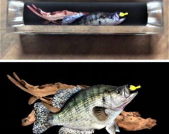 Crappie Pen Blank #138