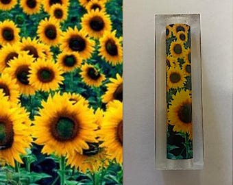 Sunflower, Pen Blank #019