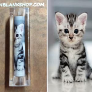 May include: A clear acrylic pen blank with a printed image of a silver tabby kitten. The kitten is looking at the camera with its mouth closed. The pen blank is approximately 3 inches long.