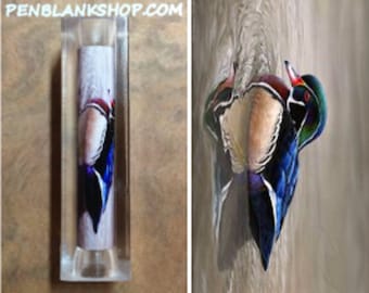 Duck Pen Blank #039