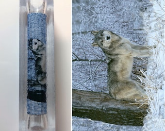 Wolf Pen Blank #181