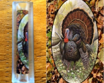 Turkey Pen Blank #112