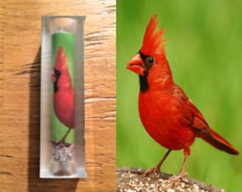 Cardinal, Red Bird Pen Blank #036
