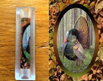 Turkey Pen Blank #113