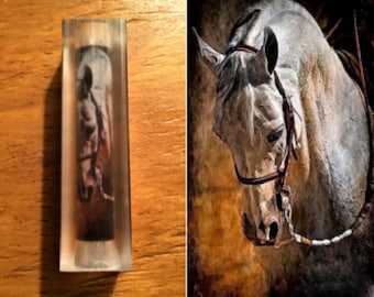 Horse Pen Blank #040