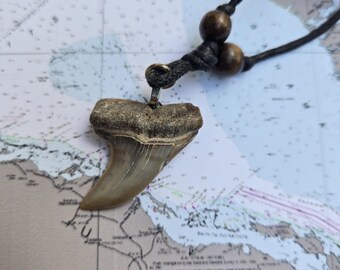 Prehistoric Mako Shark Tooth Necklace