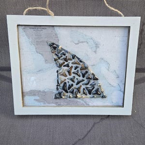 Nageoires de requin à dents de requin/carte nautique