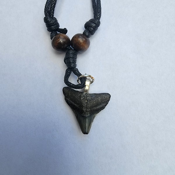 Bull Shark Tooth Necklaces