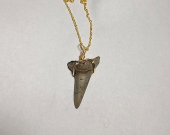 Prehistoric Mako Shark Tooth Necklace
