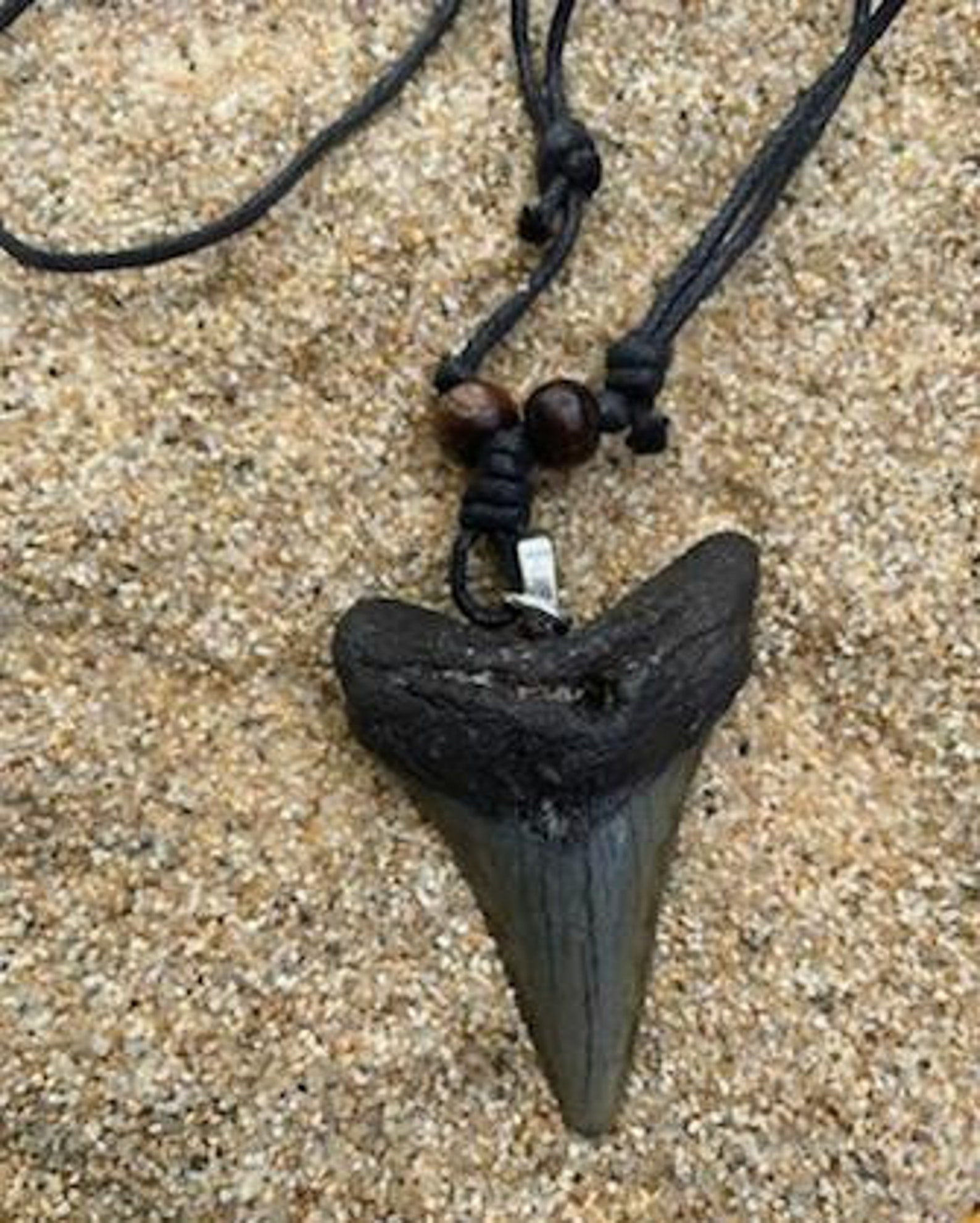 Collar de dientes de tiburón Megalodon prehistórico Etsy