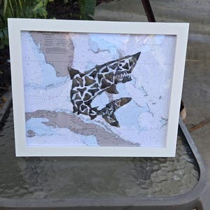 Dent de requin Requin Mako/carte nautique