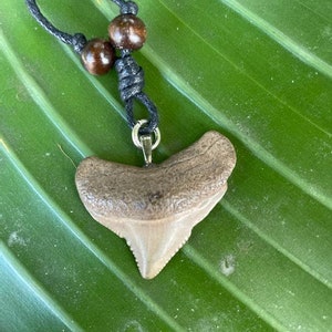 Megalodon Tooth Necklace: Rare Fossil Shark Tooth Pendant