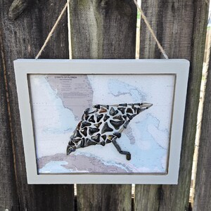Carte marine, raie pastenague, dent de requin