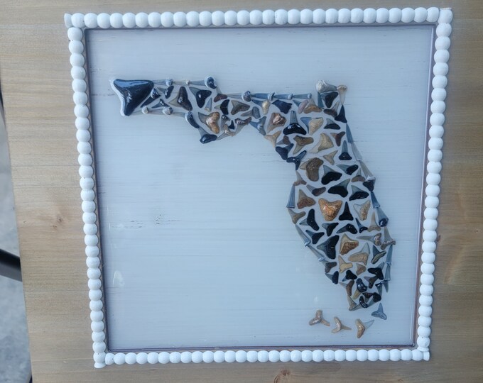 Shark Tooth State of Florida - Etsy