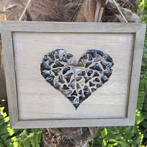Shark tooth Heart
