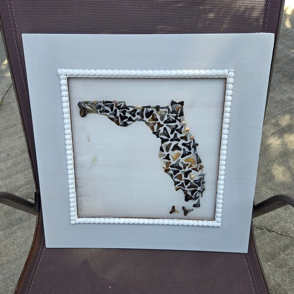 16 x 16 inch Shark Tooth State of Florida