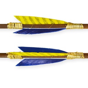 Warrior Arrow Barred yellow