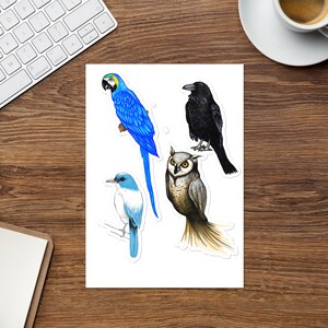 Birds Sticker sheet
