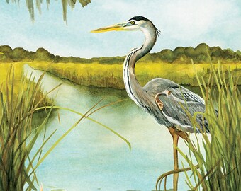 Great Blue Heron in the Marsh