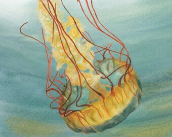 Sea Nettle  (limited edition)