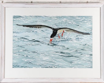Black Skimmer in the Inlet (framed original)