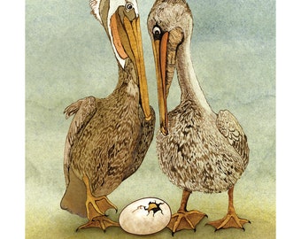 Brown Pelican Hatchling