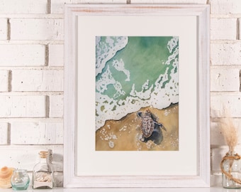 Sea Turtle Hatchling (framed limited edition print)