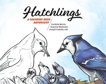 Hatchlings: Coloring Book and Field Guide of Nesting Birds and Chicks for All Ages