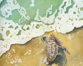 Sea Turtle Hatchling (print)
