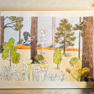 Puede incluir: Dibujo a lápiz de color de una escena de bosque con árboles, plantas y un pájaro en vuelo. La obra de arte presenta tonos verdes, marrones y amarillos, con un cielo azul claro de fondo. Una mano sostiene un lápiz, añadiendo contexto artístico.