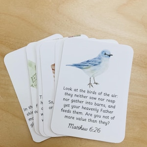 May include: A stack of white cards with a bluebird illustration and the text "Look at the birds of the air: they neither sow nor reap nor gather into barns, and yet your heavenly Father feeds them. Are you not of more value than they? Matthew 6:26"
